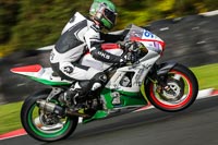 anglesey;brands-hatch;cadwell-park;croft;donington-park;enduro-digital-images;event-digital-images;eventdigitalimages;mallory;no-limits;oulton-park;peter-wileman-photography;racing-digital-images;silverstone;snetterton;trackday-digital-images;trackday-photos;vmcc-banbury-run;welsh-2-day-enduro